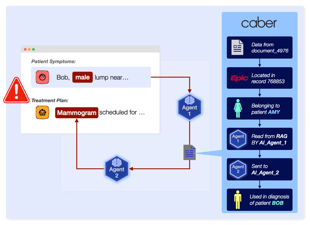 When Agentic AI does not produce answers that can be explained, Caber helps by showing the data used to make decisions and where it came from.