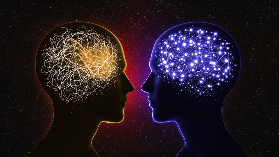 Why Adding Schemas Supercharges AI Answer Quality